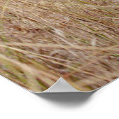 霊気のめい想原則 ポスター (角)