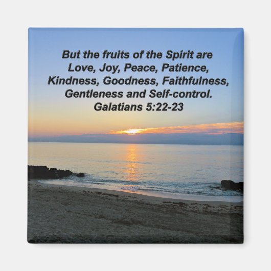 霊磁石の美しい日の出の果実 マグネット (正面)