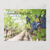 霊聖書記憶の詩の果実 ポストカード (裏面)