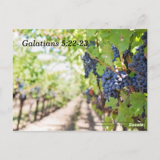 霊聖書記憶の詩の果実 ポストカード (裏面)