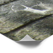 霊長類と滝ポスター ポスター (角)