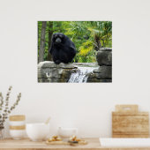 霊長類と滝ポスター ポスター (キッチン)