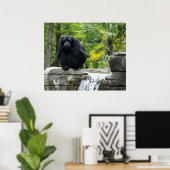 霊長類と滝ポスター ポスター (ホームオフィス)