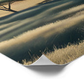 霊長類の交響曲 ポスター (角)