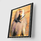 霊長類モデル： Hamadryas baboon 01 スクエア壁時計 (傾斜)