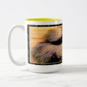 霊長類モデル： Hamadryas baboon 01 ツートーンマグカップ (左)