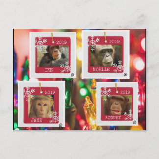 霊長類救出用の映画用はがき ポストカード