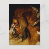 霊馬 ポストカード (正面)