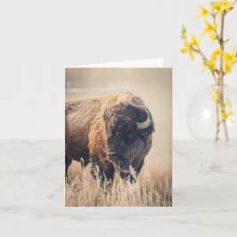 霜の朝 - 4" x 5.6" ノートカード