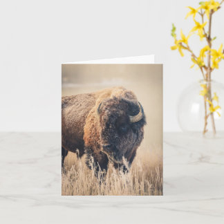 霜の朝 - 4" x 5.6" ノートカード