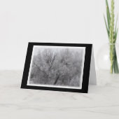 霜の木のグリーティ空白のングカード カード (正面)
