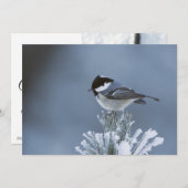 霜の松の枝に止まる冬の鳥 シーズンカード (正面/裏面)