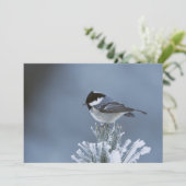 霜の松の枝に止まる冬の鳥 シーズンカード (スタンド正面)