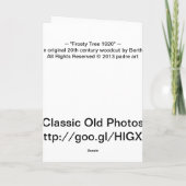 霜の降りたな木1920年 シーズンカード (裏面)