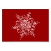 霜の降りたな薄片 テーブルナンバー (裏面)