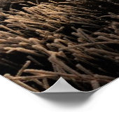 霜の降りたイエローストーン朝 ポスター (角)