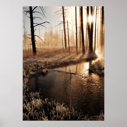 霜の降りたイエローストーン朝 ポスター (正面)