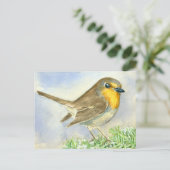 霜の降りたジュニパーの枝にロビンの鳥 ポストカード (スタンド正面)