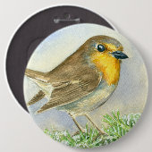 霜の降りたジュニパーの枝にロビンの鳥 缶バッジ (正面&裏面)