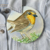 霜の降りたジュニパーの枝にロビンの鳥 缶バッジ (インサイチュ)