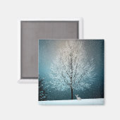 霜の降りた夕べの木 マグネット (正面/裏面)