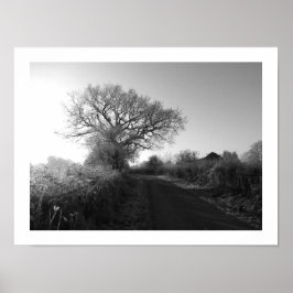 霜の降りた朝：チェシャ ポスター