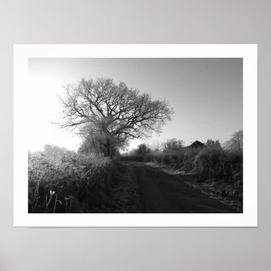 霜の降りた朝：チェシャ ポスター (正面)