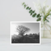 霜の降りた朝：チェシャ ポストカード (スタンド正面)