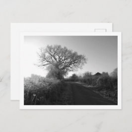 霜の降りた朝：チェシャ ポストカード