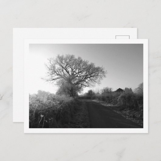 霜の降りた朝：チェシャ ポストカード (正面/裏面)