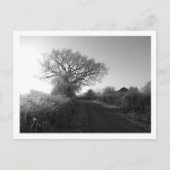 霜の降りた朝：チェシャ ポストカード (正面)