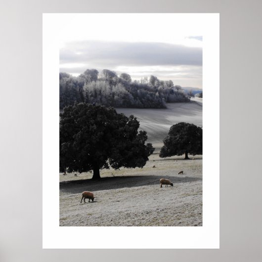 霜の降りた朝 ポスター (正面)