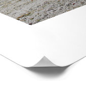 霜の降りた朝 ポスター (角)