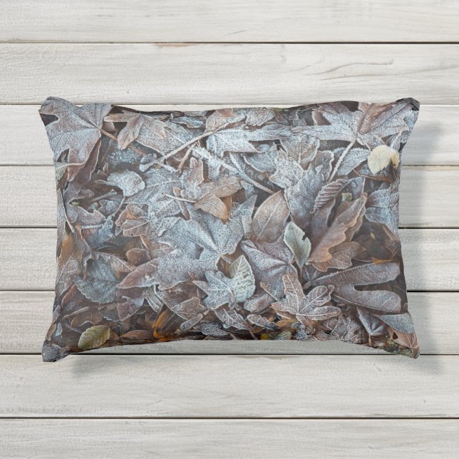 霜の降りた紅葉 アウトドアクッション (正面)