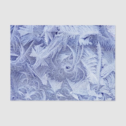 霜の降りた10カスタムlbティッシュペーパー 薄葉紙 (正面)