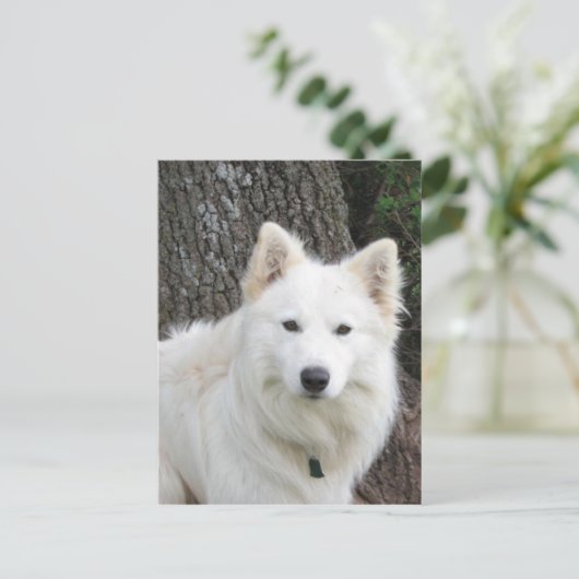 霜の降りた ポストカード (スタンド正面)