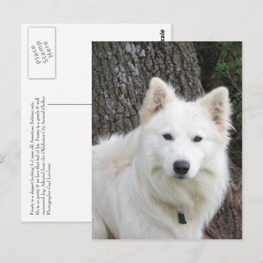 霜の降りた ポストカード (正面/裏面)