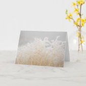 霜の降る冬草 カード (黄色い花)