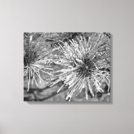 霜枯れ松葉 キャンバスプリント