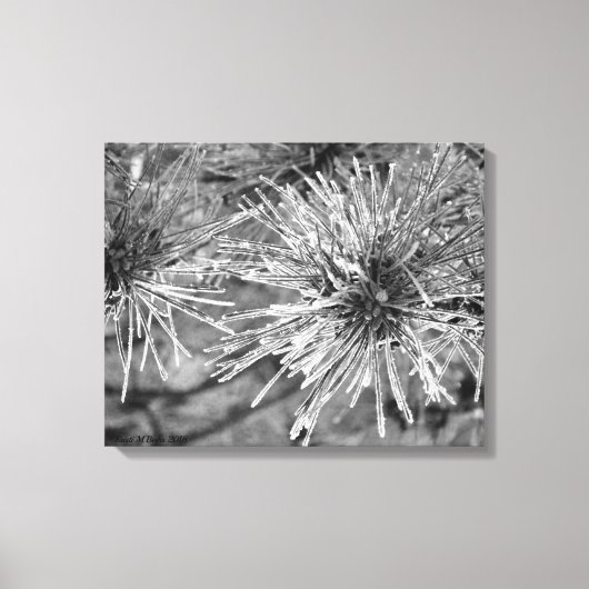 霜枯れ松葉 キャンバスプリント (正面)