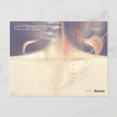 霜枯れ病の飛行 ポストカード (裏面)