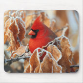 霜降った秋の葉と紅色のカーディナル マウスパッド (正面)