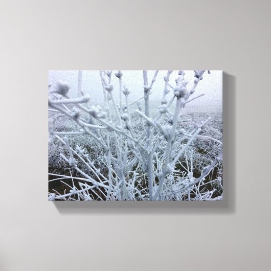 霜降りた植物の冬の風景 キャンバスプリント (正面)