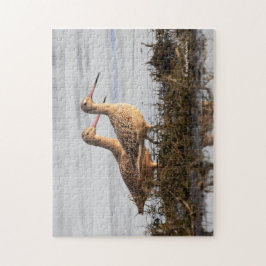 霜降りのゴッドウィットの鳥が黒い唾を放浪 ジグソーパズル