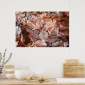 霜降りのメープル葉のポスター ポスター (キッチン)