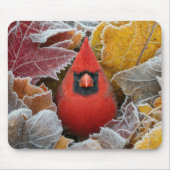 霜降りの紅葉の中のショウジョウコウカチョウ マウスパッド (正面)