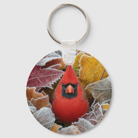 霜降りの紅葉の中のショウジョウコウカンチョウ キーホルダー (正面)