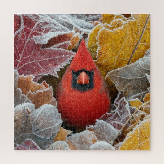 霜降りの紅葉の中のショウジョウコウカンチョウ ジグソーパズル (縦)