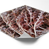 霜降りシダの乾いた死葉冬 ポスター (角)