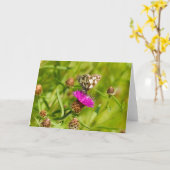 霜降り白い蝶 カード (黄色い花)